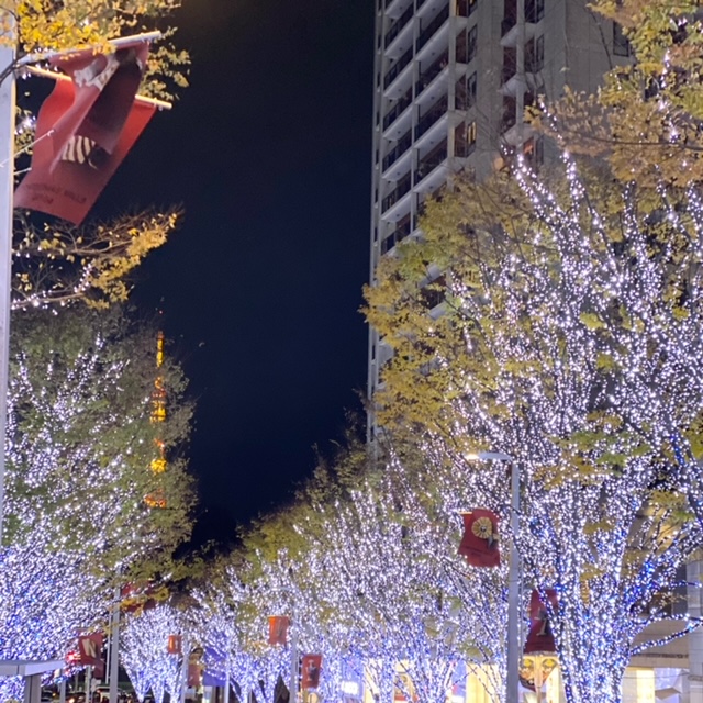 roppongi hills christmas マーケットの帰りに見られる並木坂のイルミネーション